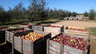 Фото из архива