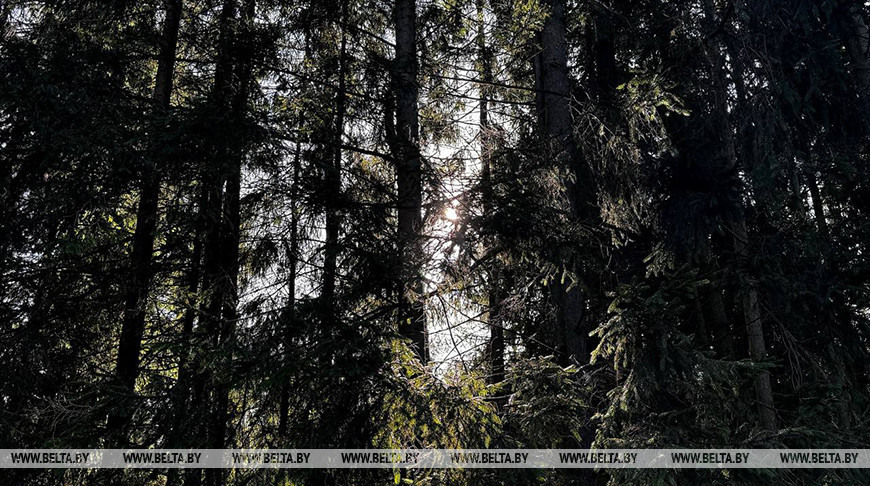 Фото из архива