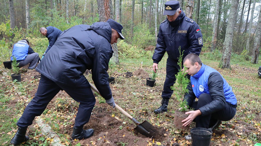 Фото УСК по Витебской области