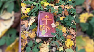 Скриншот видео УВД Могилевского облисполкома