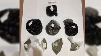 Скриншот УВД Гомельского облисполкома