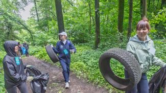 Фото vitbichi.by