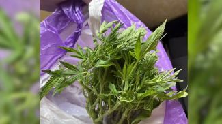 Скриншот видео УВД Могилевского облисполкома