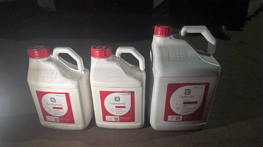 Скриншот видео УВД Гродненского облисполкома