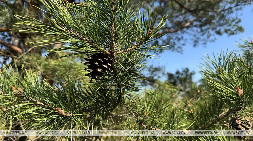 Фото из архива