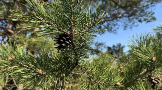 Фото из архива