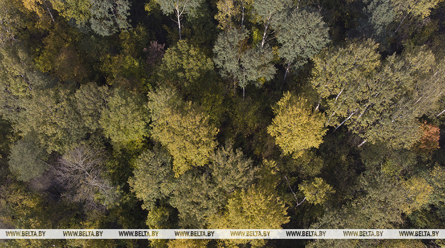 Фото из архива