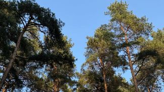 Фото из архива