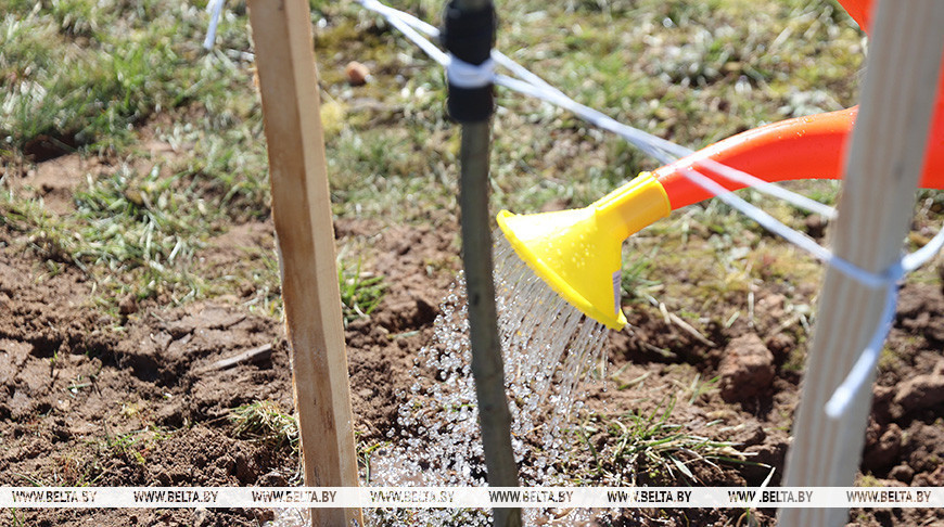 Фото из архива