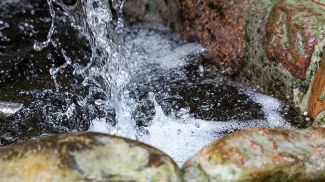 Фото из архива