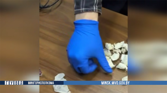 Скриншот видео МВД