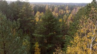 Фото из архива