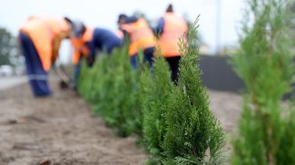 Фото из архива