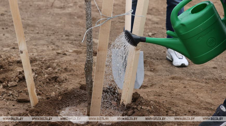 Фото из архива