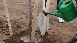 Фото из архива