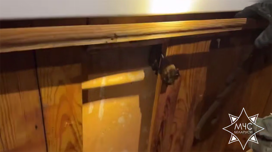 Скриншот видео МЧС