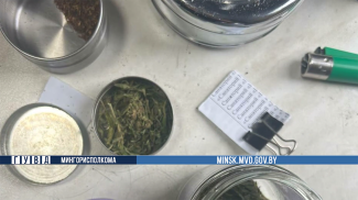 Скриншот видео МВД