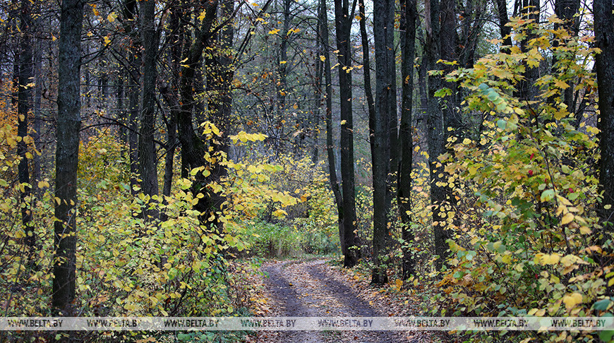Фото из архива