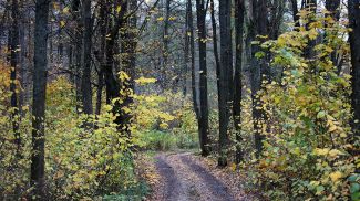 Фото из архива