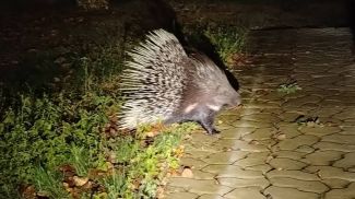 Фото Минприроды