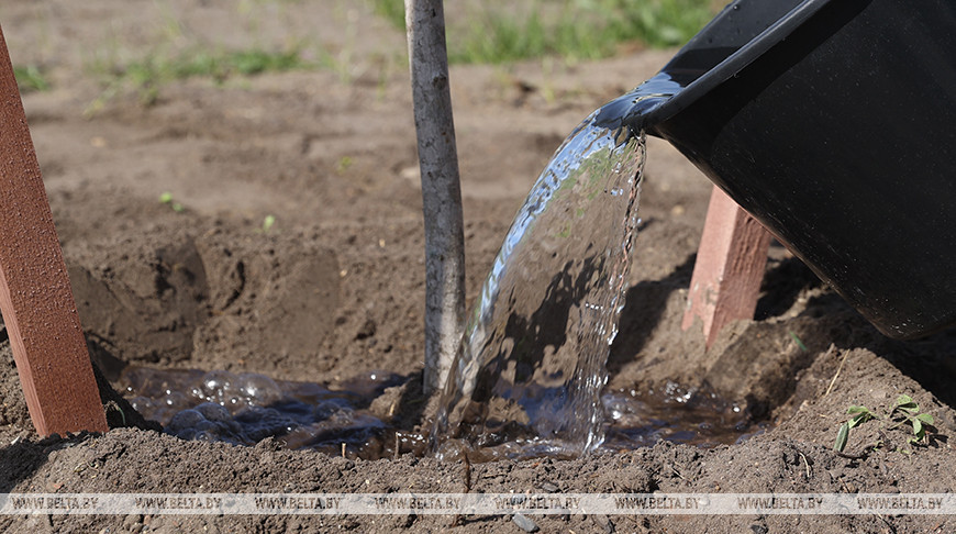 Фото из архива