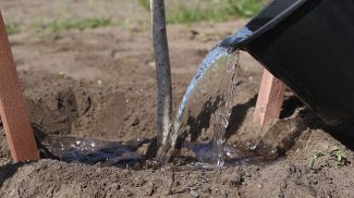 Фото из архива