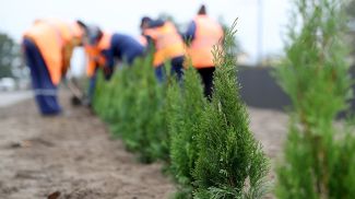 Фото из архива