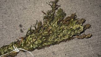 Фото УВД Минского облисполкома