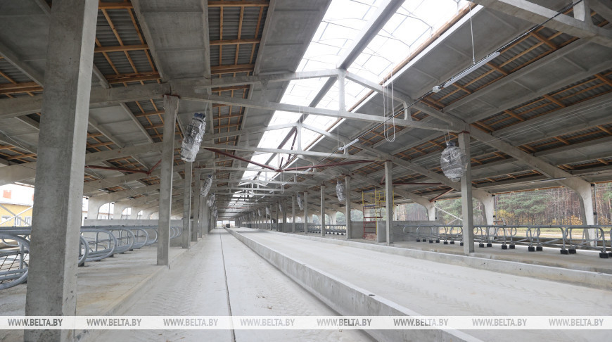 Три крупных животноводческих комплекса строят в Брестском районе