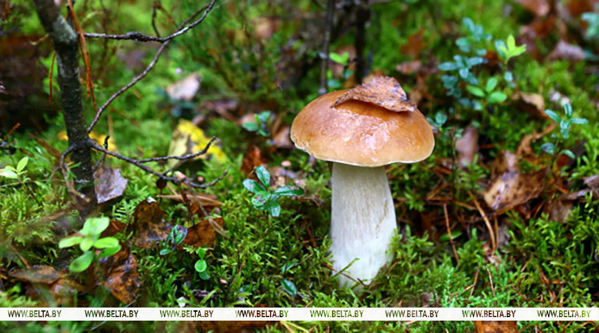 Фото из архива