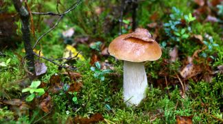 Фото из архива