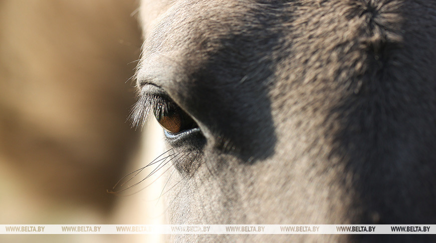 Фото из архива