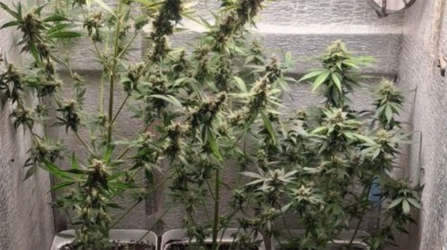 Скриншот видео ГУВД Мингорисполкома