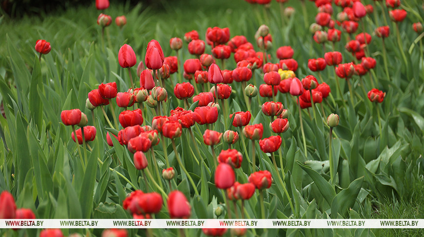 Фото из архива