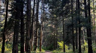 Фото из архива