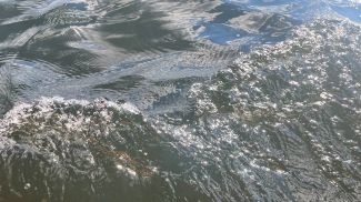 Фото из архива