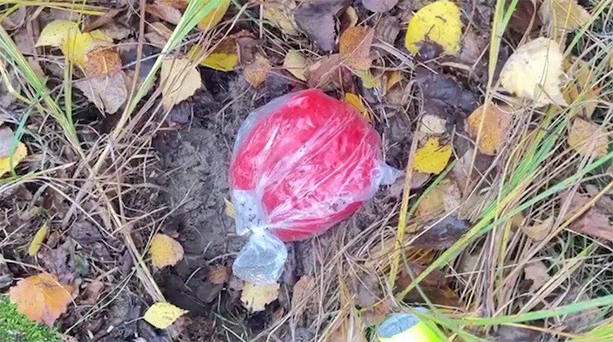 Скриншот видео МВД