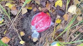 Скриншот видео МВД