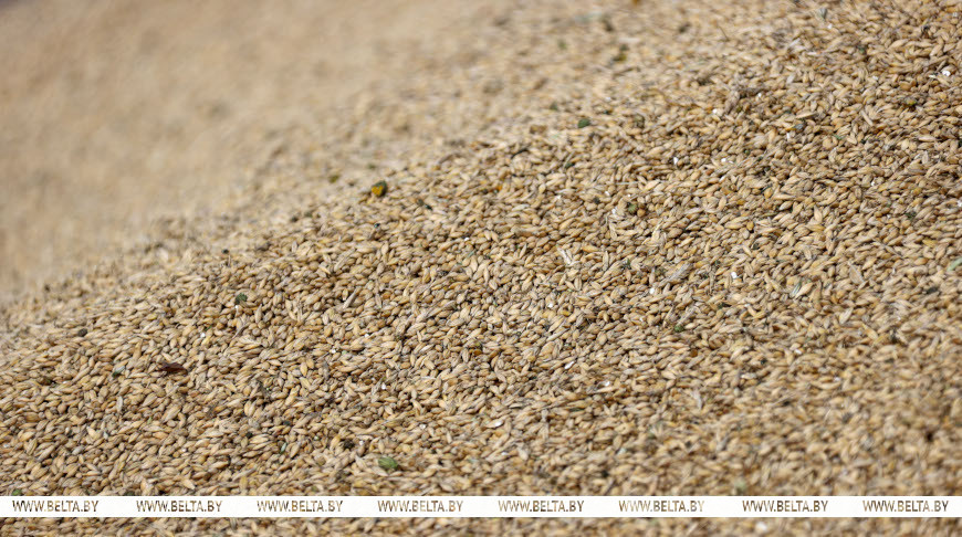 Фото из архива