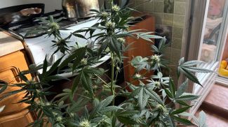 Фото УВД Витебского облисполкома