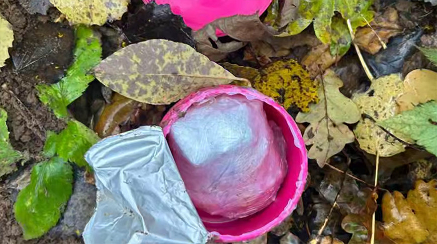 Скриншот видео ГУВД Мингорисполкома