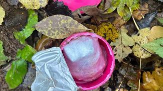 Скриншот видео ГУВД Мингорисполкома