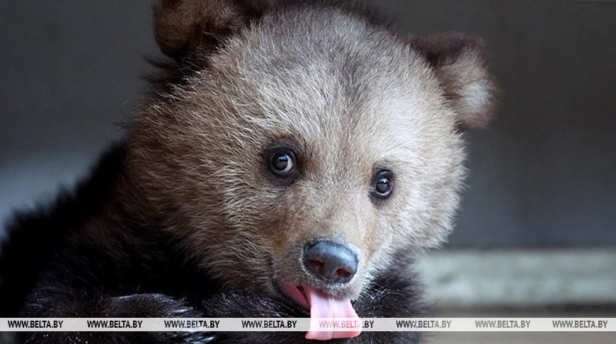 Фото из архива