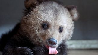 Фото из архива