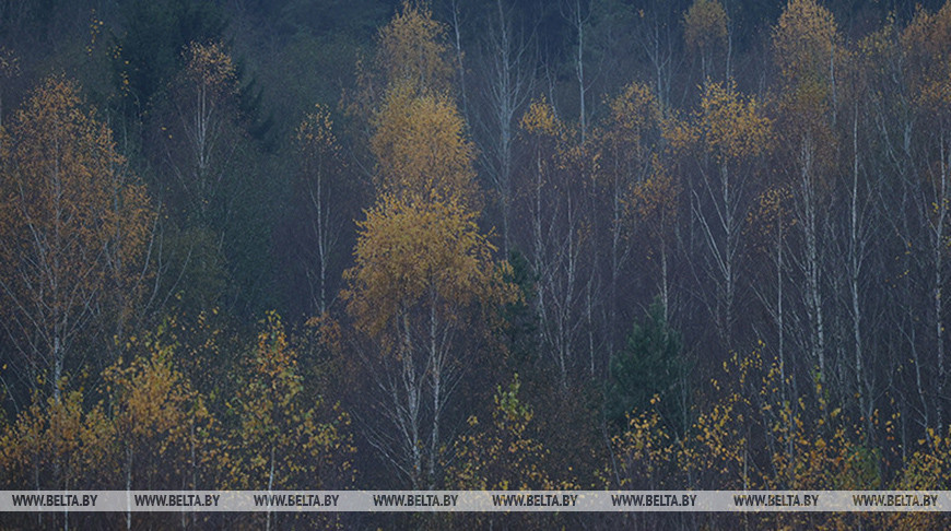 Фото из архива