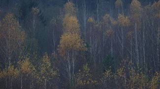 Фото из архива