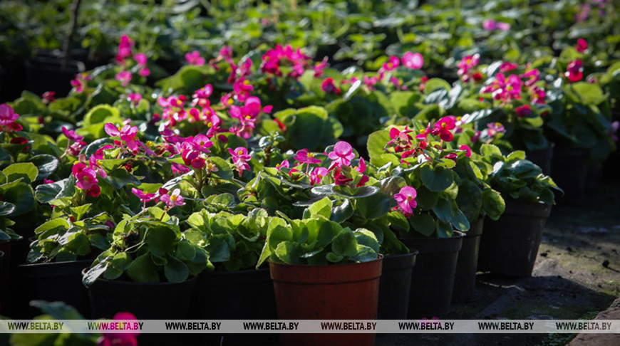 Фото из архива