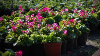 Фото из архива