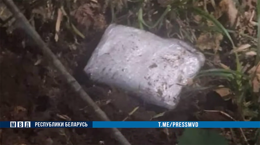 Скриншот видео МВД