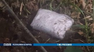 Скриншот видео МВД